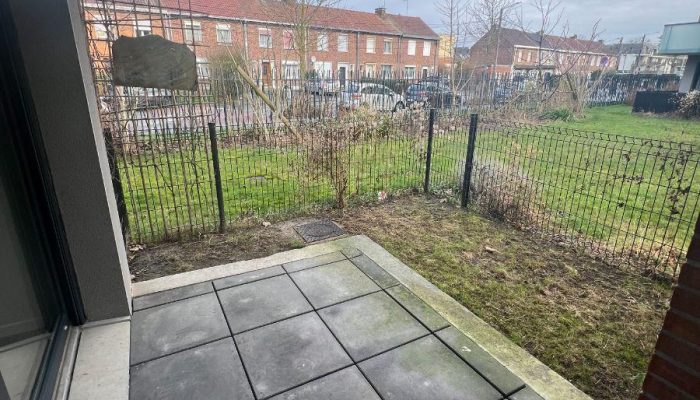 w17690978464951429_1769098822296