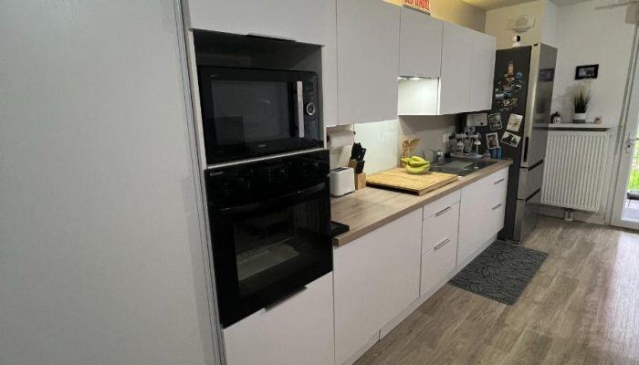 w17720195150619855_1772020120719