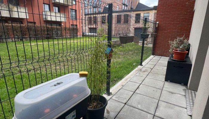 w17720195150619855_1772020127823