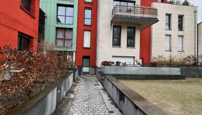 w17724632699808782_1772463623183