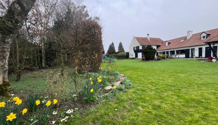 w17730598319969242_1773060312306