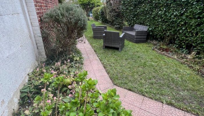 w17737730002045165_1773774156833