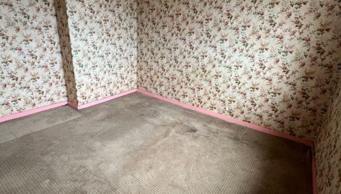 w17742621768394374_1774263602677